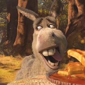 Fotoğraf Mike Mitchell (V)