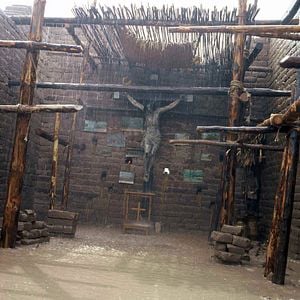 Fotoğraf Rodrigo Plá