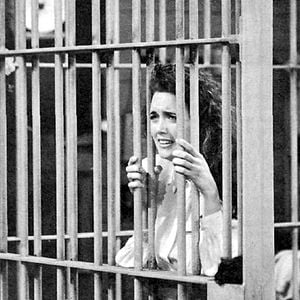 Fotoğraf Julia Campbell