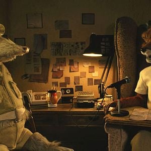 Fotoğraf Yaman Tilki