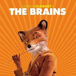 Fotoğraf Yaman Tilki