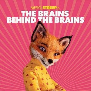 Fotoğraf Yaman Tilki