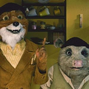 Fotoğraf Yaman Tilki