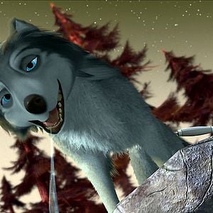 Fotoğraf Anthony Bell