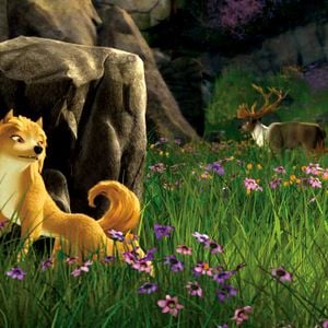 Fotoğraf Anthony Bell