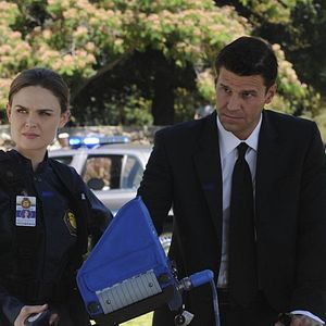 Fotoğraf David Boreanaz