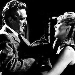 Fotoğraf Peter Finch