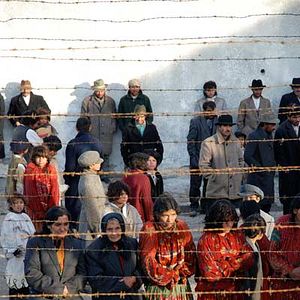 Fotoğraf Özgürlük