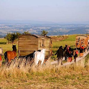 Fotoğraf Tony Gatlif