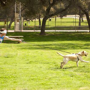 Fotoğraf Malcolm in the Middle