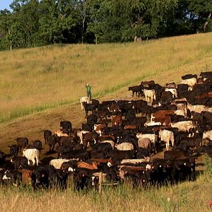 Fotoğraf Robert Kenner