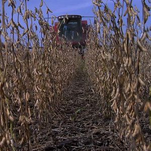 Fotoğraf Robert Kenner