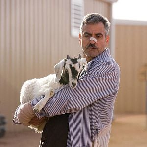 Fotoğraf George Clooney