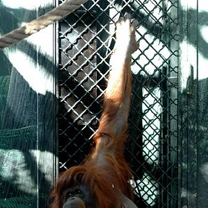 Fotoğraf Nicolas Philibert