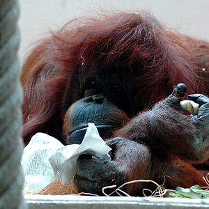 Fotoğraf Nicolas Philibert