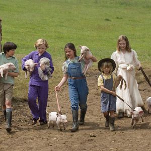 Fotoğraf Eros Vlahos