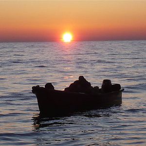 Fotoğraf Merzak Allouache