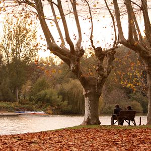 Fotoğraf Philippe Guillard