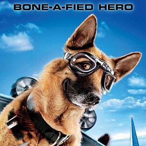 Fotoğraf Brad Peyton