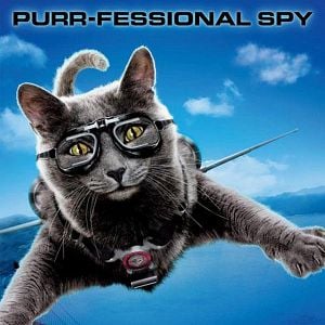 Fotoğraf Brad Peyton