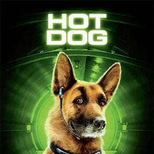 Fotoğraf Brad Peyton