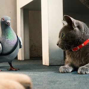 Fotoğraf Kevin Lima