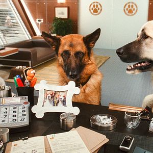 Fotoğraf Kevin Lima