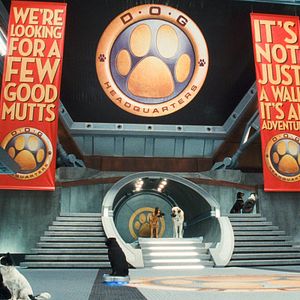 Fotoğraf Kevin Lima