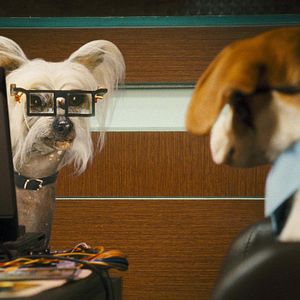 Fotoğraf Kevin Lima