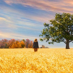 Fotoğraf Saoirse Ronan