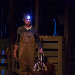 Fotoğraf Rainn Wilson