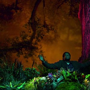 Fotoğraf Forest Whitaker