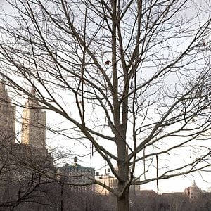 Fotoğraf Joshua Marston