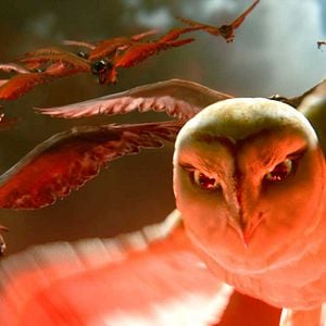 Fotoğraf Baykuş Krallığı Efsanesi