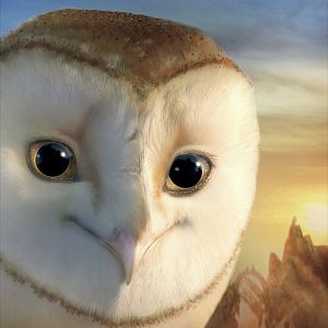 Fotoğraf Baykuş Krallığı Efsanesi