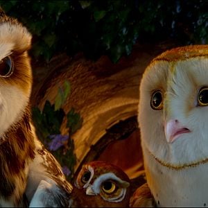 Fotoğraf Baykuş Krallığı Efsanesi