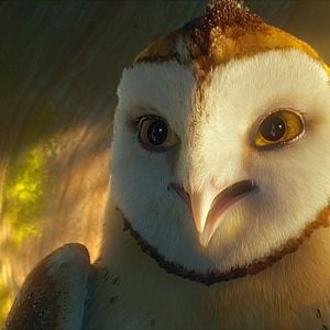 Fotoğraf Baykuş Krallığı Efsanesi