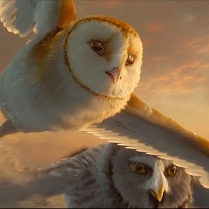 Fotoğraf Baykuş Krallığı Efsanesi