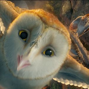 Fotoğraf Baykuş Krallığı Efsanesi