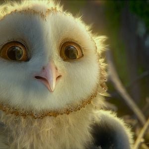 Fotoğraf Baykuş Krallığı Efsanesi