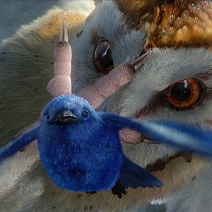 Fotoğraf Baykuş Krallığı Efsanesi