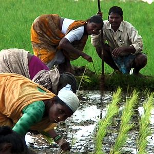 Fotoğraf Sorun Küresel, Çözüm Yerel