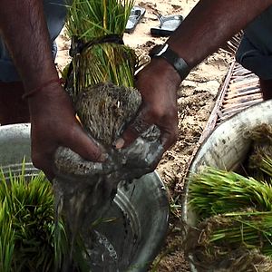 Fotoğraf Sorun Küresel, Çözüm Yerel
