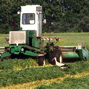 Fotoğraf Sorun Küresel, Çözüm Yerel