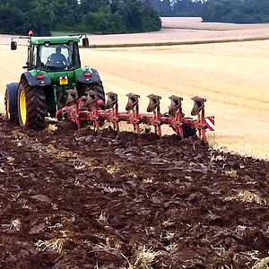 Fotoğraf Sorun Küresel, Çözüm Yerel