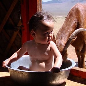 Fotoğraf Thomas Balmès