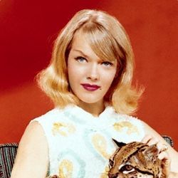 Fotoğraf Honey West