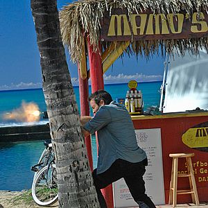 Fotoğraf Alex O'Loughlin