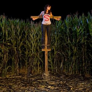 Fotoğraf Erica Durance