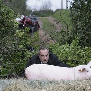 Fotoğraf Doctor Mateo